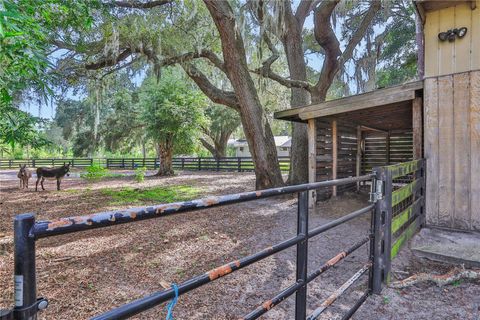 A home in MONTVERDE