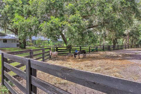 A home in MONTVERDE