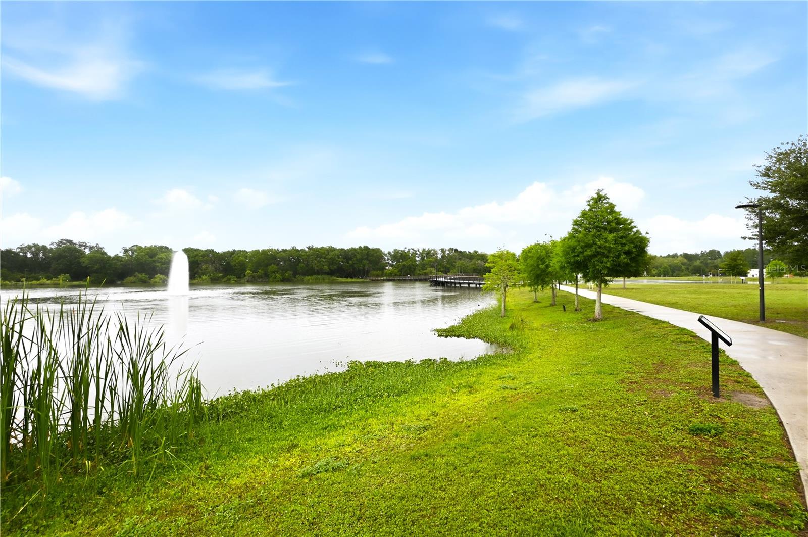 CARROLLWOOD VILLAGE PH TWO - Residential