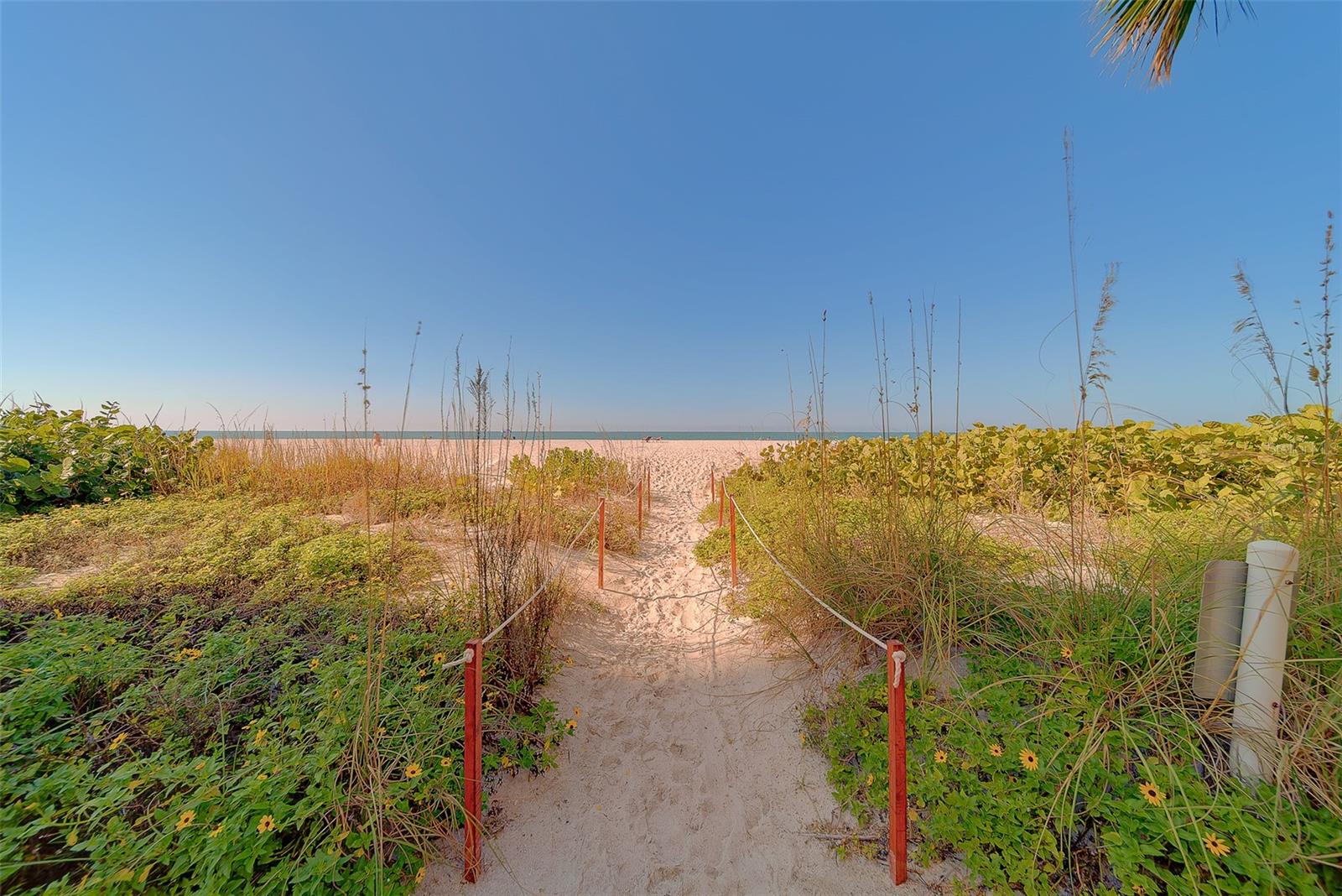 SAND KEY CONDO-SOUTH BEACH - Residential