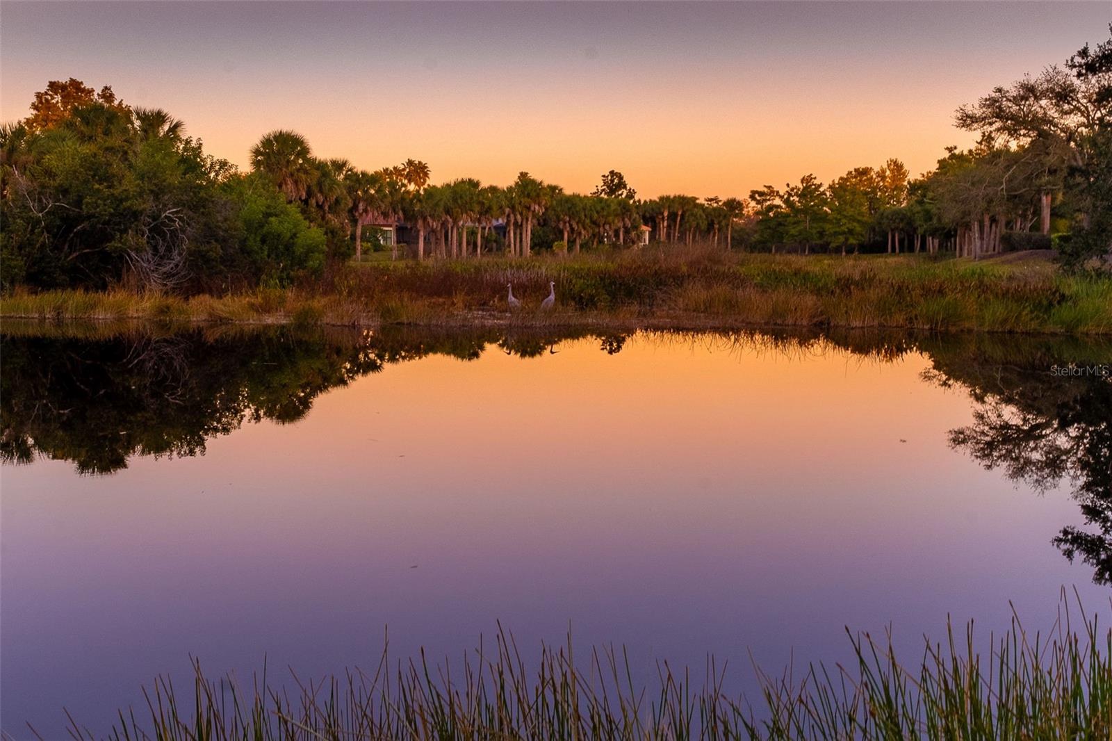 BOCA ROYALE - Residential