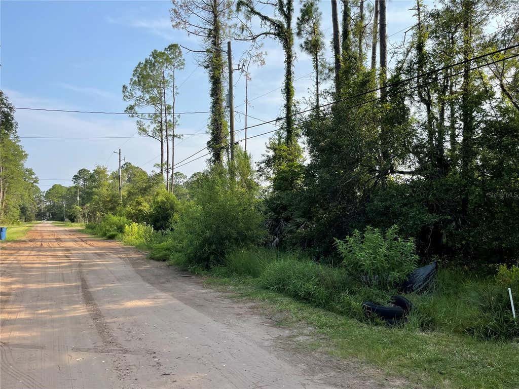 Photo of 14004 Bradham Road, Jacksonville, FL 32226 (MLS # GC542246)