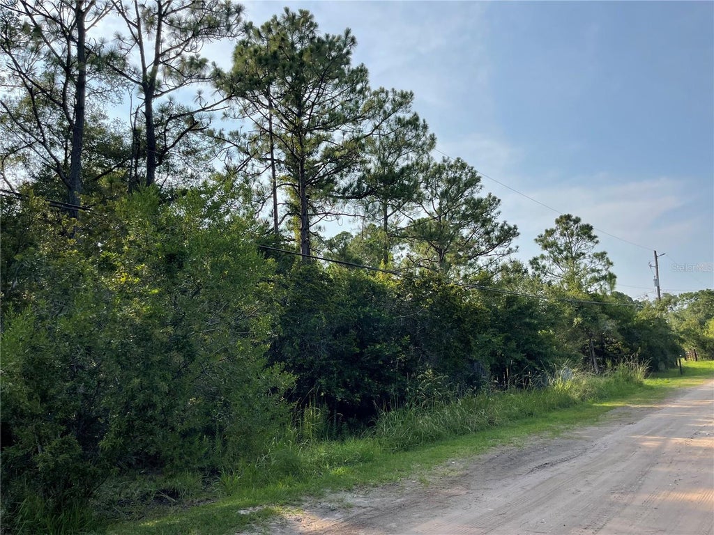 Photo of 14004 Bradham Road, Jacksonville, FL 32226 (MLS # GC542246)