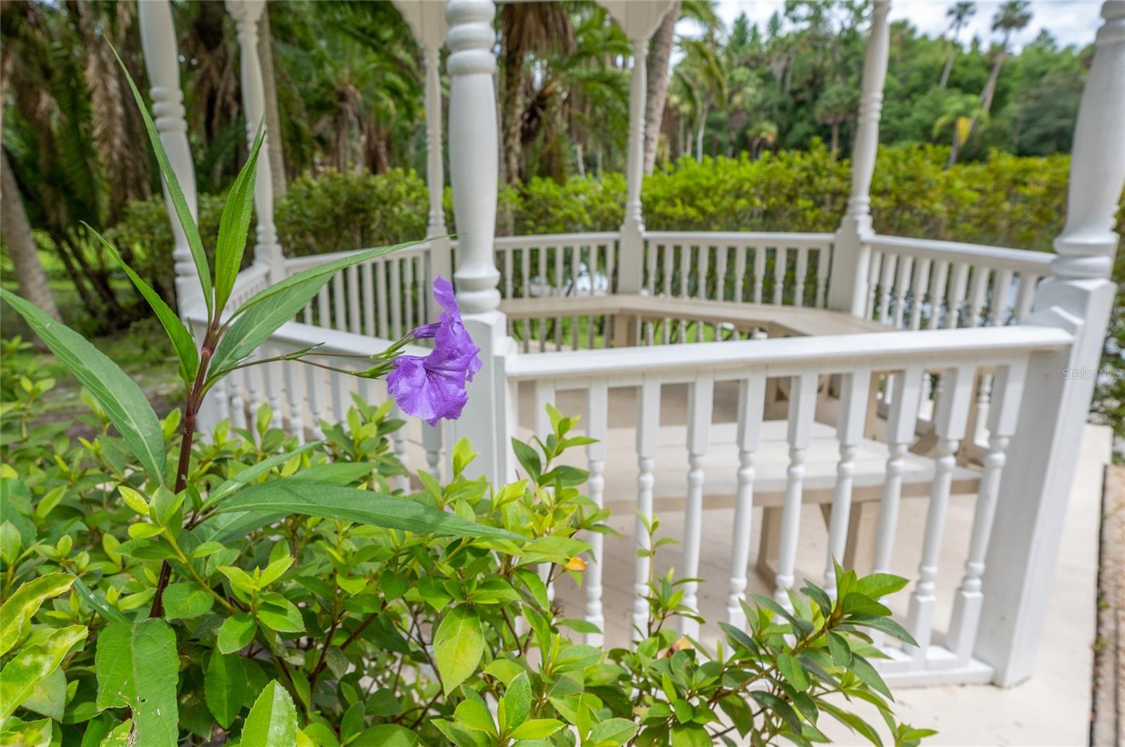 SPRINGS, FAIRWAY VILLAS - Residential