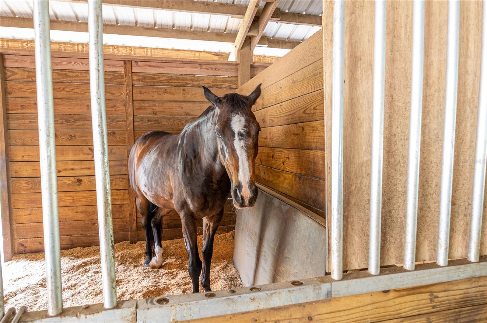 SPRINGS, FAIRWAY VILLAS - Residential