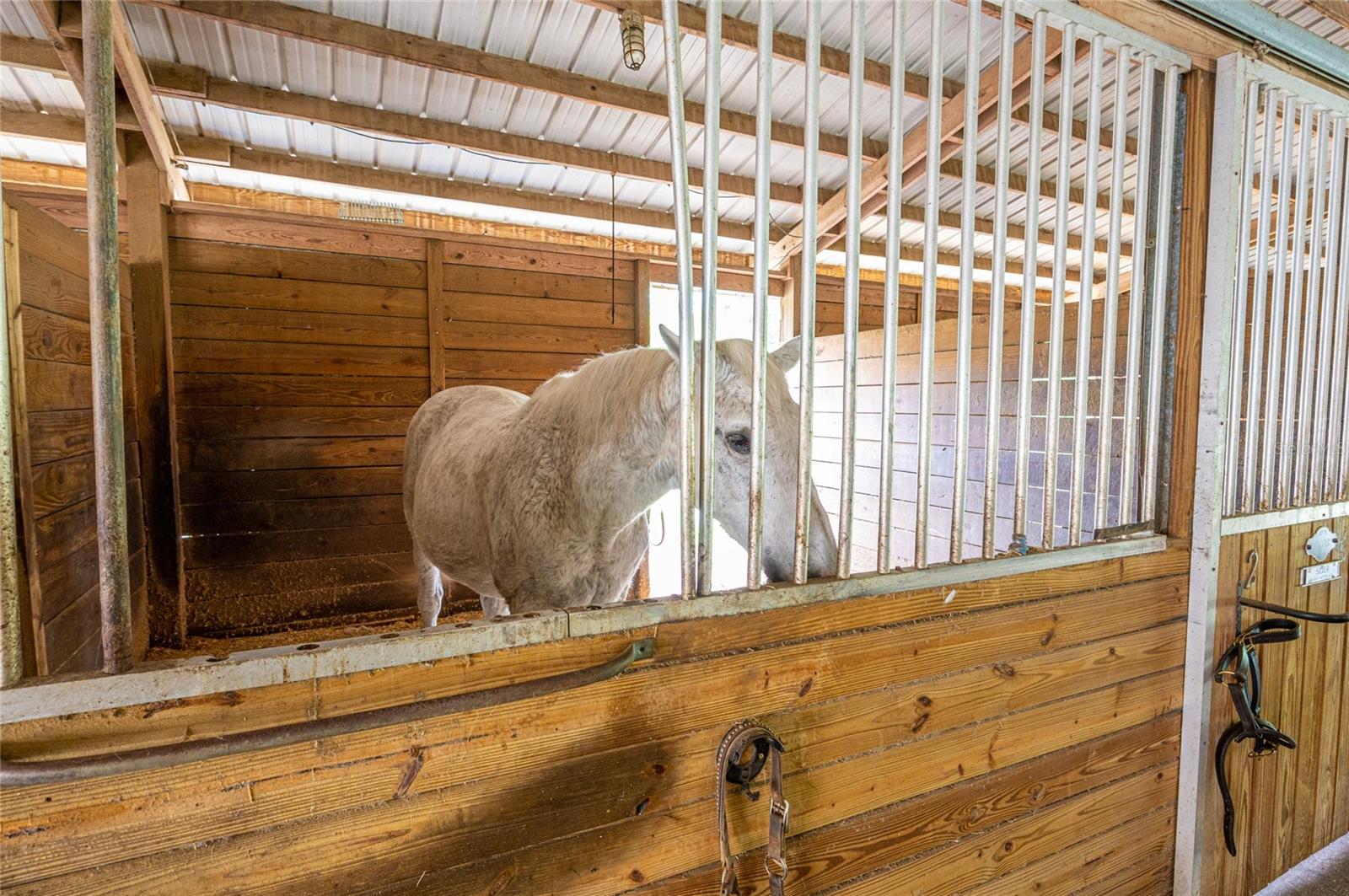 SPRINGS, FAIRWAY VILLAS - Residential