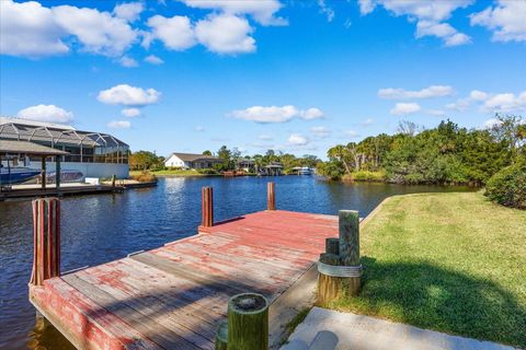 A home in PALM COAST