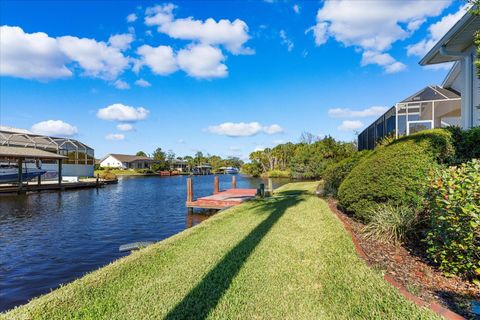 A home in PALM COAST