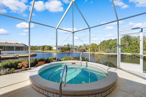 A home in PALM COAST