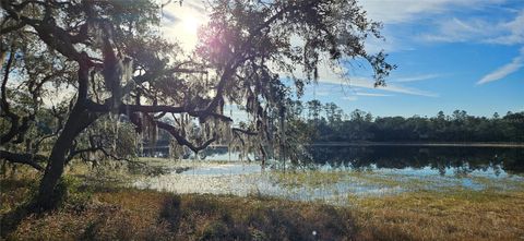 Lot 1 - 10.75ac E HWY 318 CITRA FL 32113