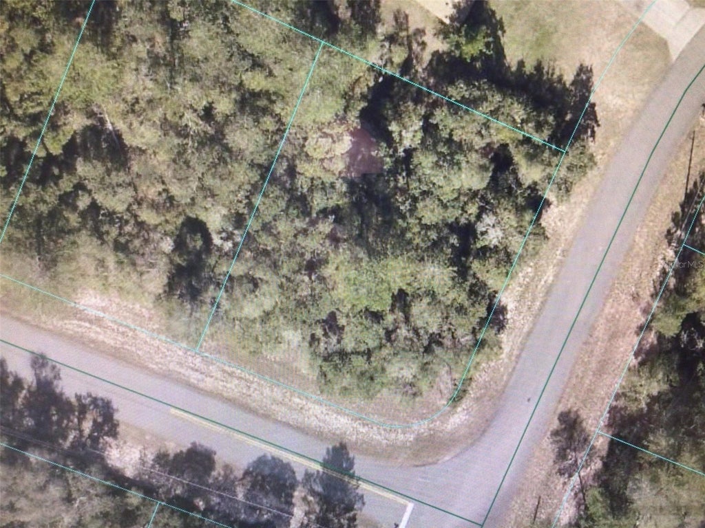 Photo of 0 SW 29 Circle, Ocala, FL 34473 (MLS # OM729422)
