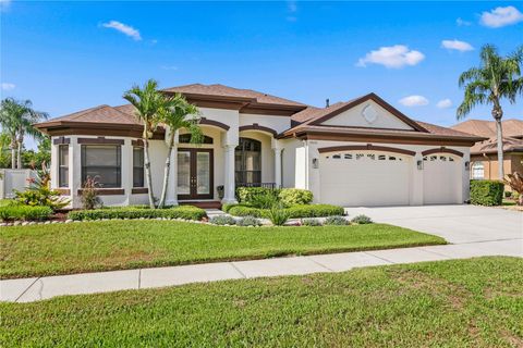 19830 STRATHMORE PLACE LAND O LAKES FL 34638