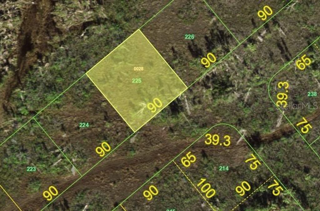 Photo of 14250 Catfish Court, Placida, FL 33946 (MLS # C7515144)