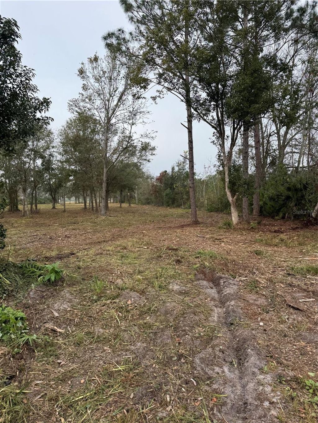 Photo of W Frostproof Road, Frostproof, FL 33843 (MLS # K4903011)