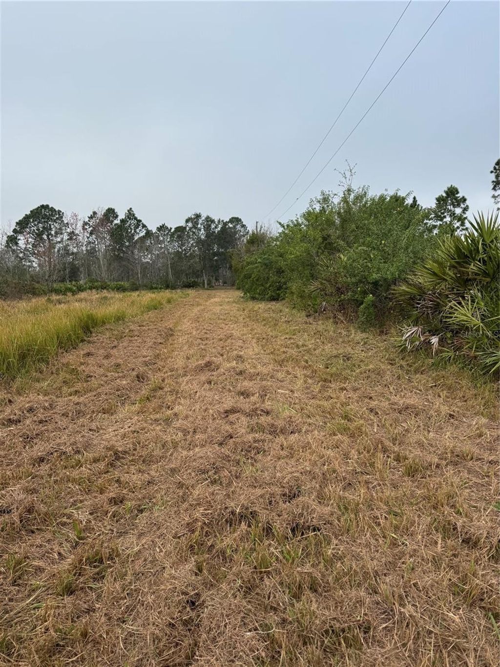Photo of W Frostproof Road, Frostproof, FL 33843 (MLS # K4903011)