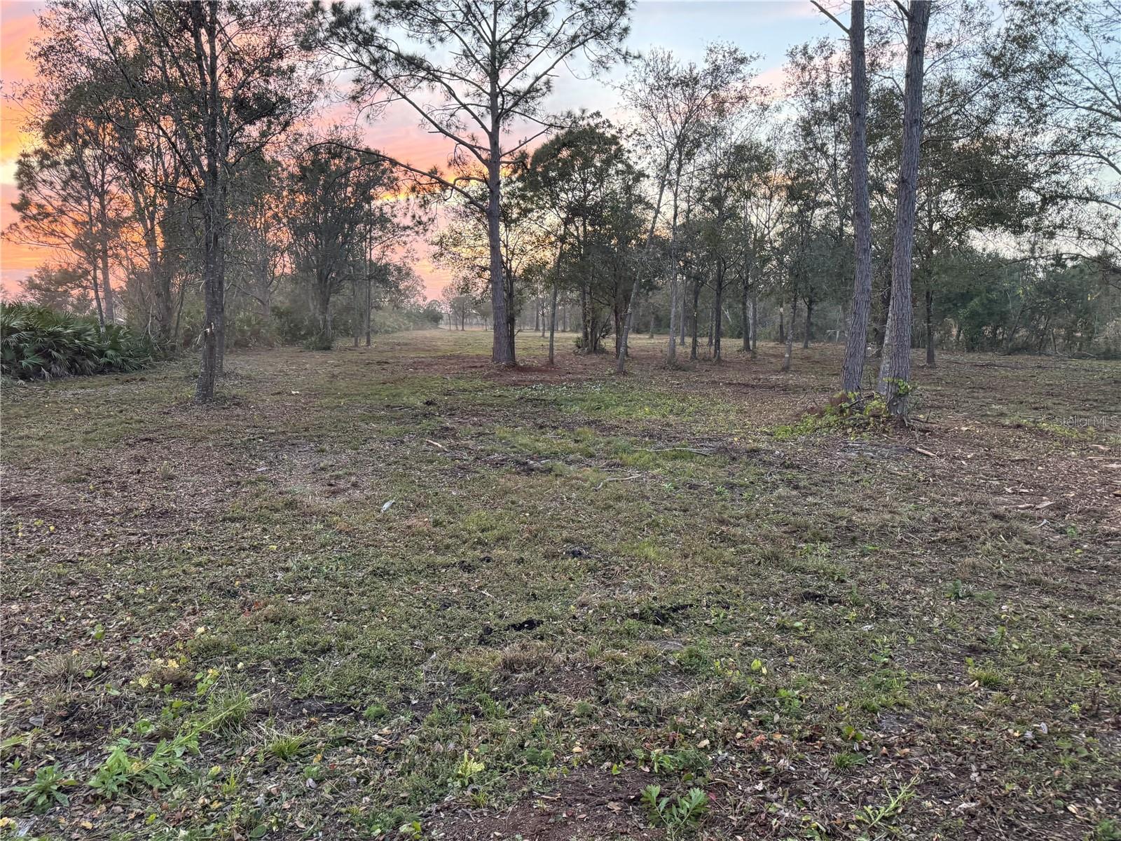 COUNTRY LIVING ON THIS ALMOST 4 ACRES OF CLEARED LAND (3.9 AC) CLOSE TO HWY 27 FOR EASY ACCESS TO LAKE WALES & HIGHLANDS COUNTY. A DAY TRIP TO ENJOY EAST COASTS BEACHES & GULF OF MEXICO AS WELL AS TO 2 INTERNATIONAL AIRPORTS! ONLY 30 MINUTES TO LEGOLAND & BOK TOWER AND NEAR MANY FISHING LAKES & GOLF COURSES! BRING YOUR HORSES, COWS, PETS & BUILD YOUR DREAM HOME! THERE ARE A VARIETY OF OAK TREES & PINE TREES ON THIS CLEARED LOT! PLENTY OF HIGH & DRY LAND FOR BUILDING A HOME & LARGE OUTBUILDINGS! YOU WILL ENJOY BEAUTIFUL SUNSETS FROM THIS SETTING! THIS IS A FLAG LOT.