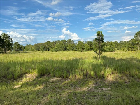 Photo of Maple Ln Way, Ocklawaha, FL 32179 (MLS # OM728162)