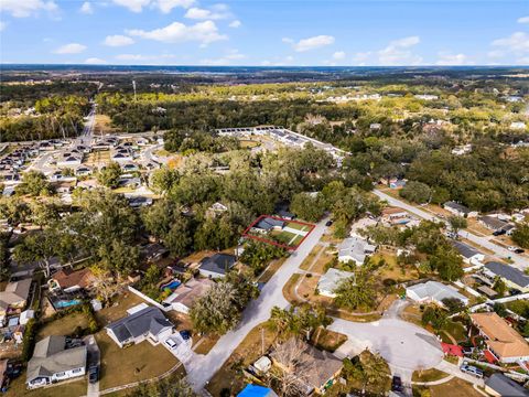 A home in EUSTIS