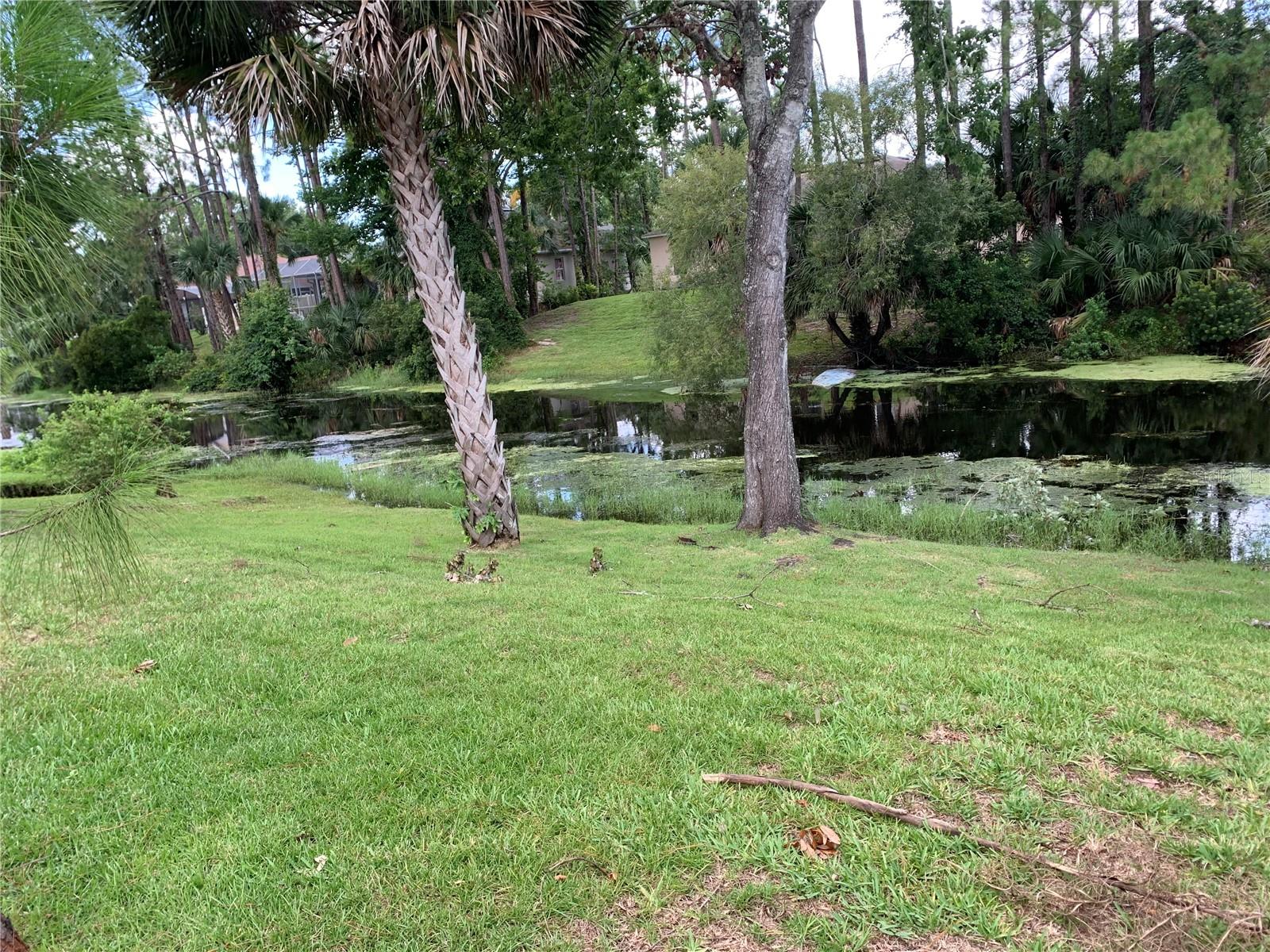51 PORT ROYAL DRIVE