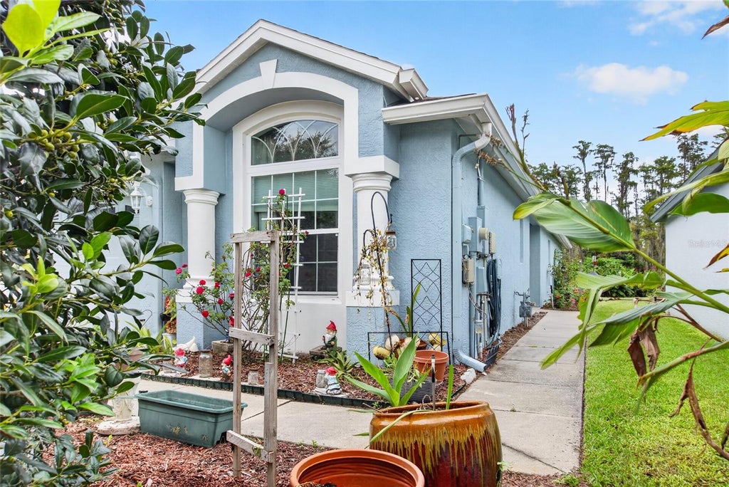 Photo of 19339 Everton Place, Land O Lakes, FL 34638 (MLS # W7889572)