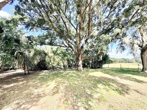 Tiny photo for 10933 N Em En El Grove Road, Leesburg, FL 34788 (MLS # G5119613)
