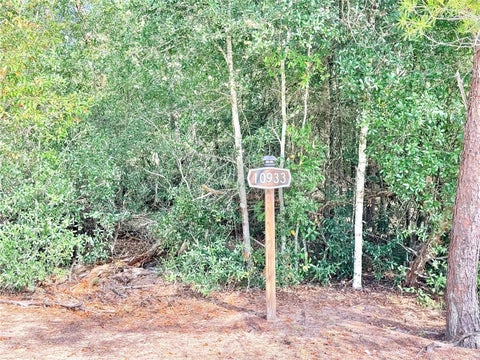 Tiny photo for 10933 N Em En El Grove Road, Leesburg, FL 34788 (MLS # G5119613)