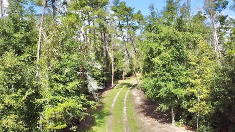 Tiny photo for 10933 N Em En El Grove Road, Leesburg, FL 34788 (MLS # G5119613)
