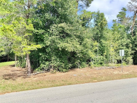 Tiny photo for 10933 N Em En El Grove Road, Leesburg, FL 34788 (MLS # G5119613)