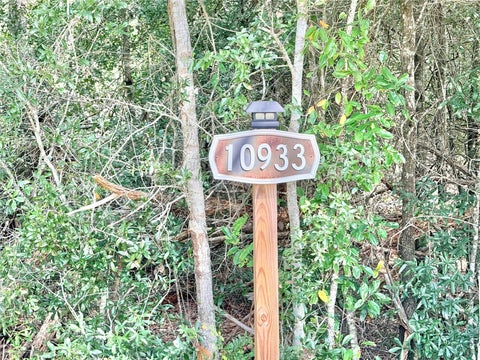 Tiny photo for 10933 N Em En El Grove Road, Leesburg, FL 34788 (MLS # G5119613)
