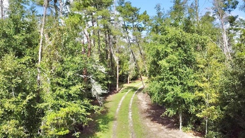 Tiny photo for 10933 N Em En El Grove Road, Leesburg, FL 34788 (MLS # G5119613)