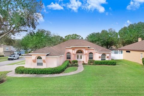 A home in VALRICO