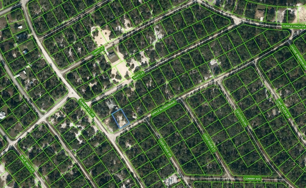 Photo of 402 Apple Blossom Court, Lake Placid, FL 33852 (MLS # OM624338)