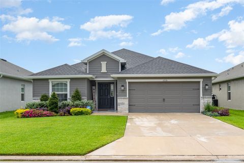 6226 165TH DRIVE E PARRISH FL 34219