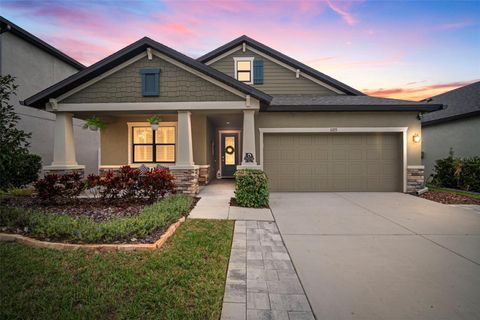 11223 PADDOCK MANOR AVENUE RIVERVIEW FL 33569