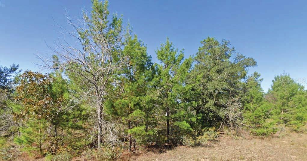 Located in the growing Sunny Hills community, this spacious lot provides a rare opportunity to build in a tranquil, wooded setting near the Boat Lake Swim Park and Sunny Hills Golf & Country Club. With paved road frontage and utilities available nearby, the lot offers both convenience and natural charm. All information is deemed reliable but should be independently verified.