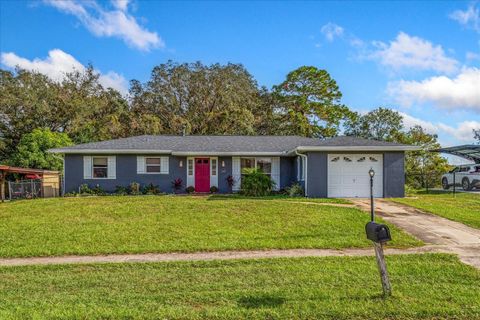 A home in DELTONA