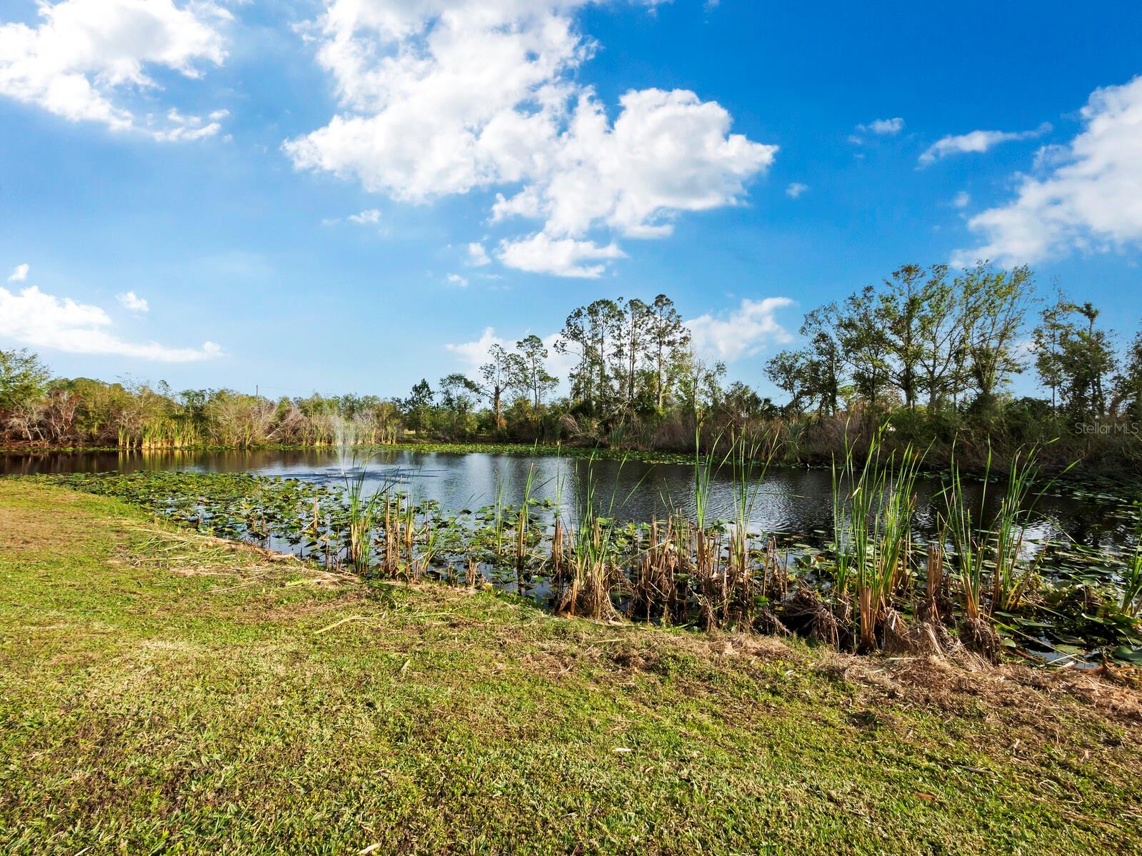 SARASOTA PLANTATIONS - Residential