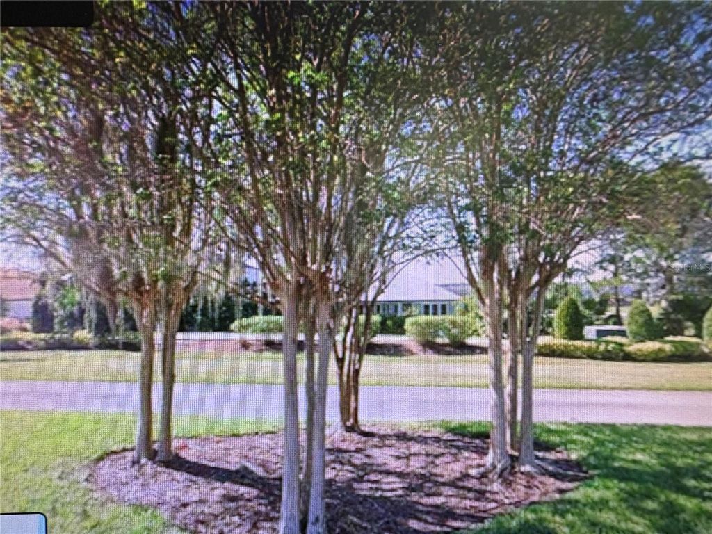 Photo of 155 Blazing Star Avenue, Lake Alfred, FL 33850 (MLS # TB8444281)