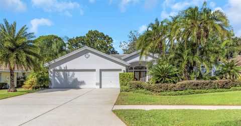 1130 KINGS WAY LANE TARPON SPRINGS FL 34688