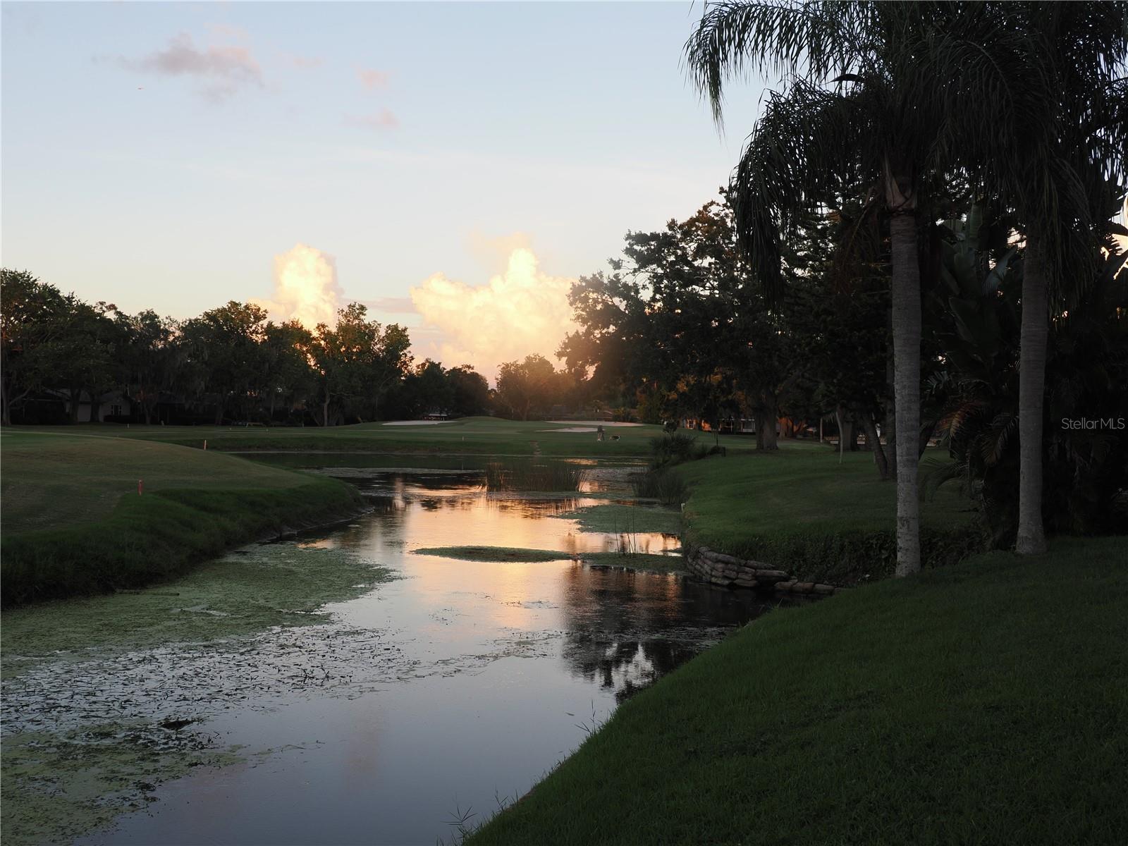 EAST LAKE WOODLANDS - Residential