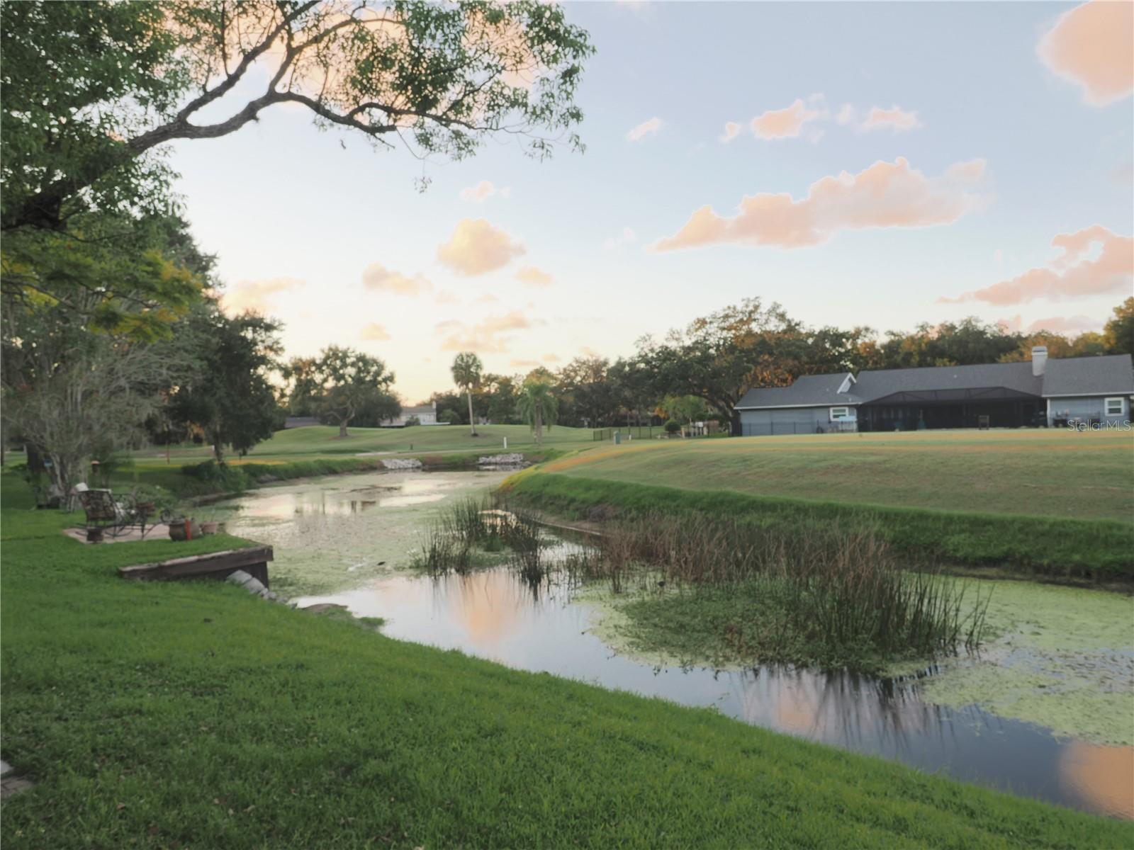 EAST LAKE WOODLANDS - Residential