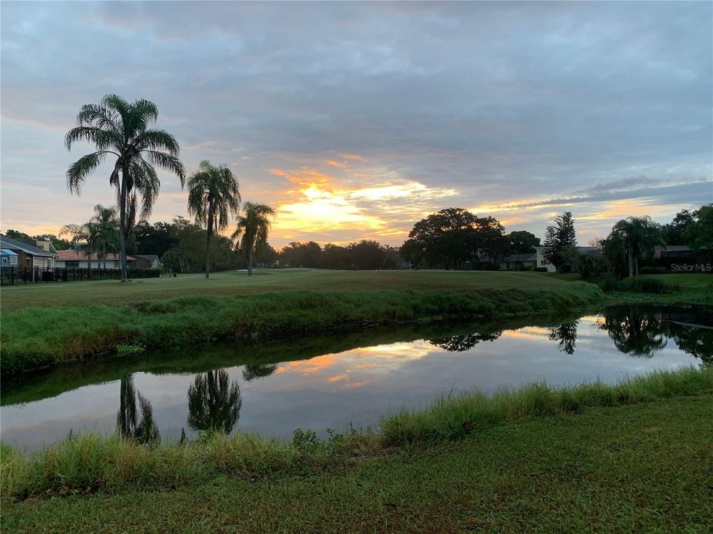 Photo of 190 Water Oak Way, Oldsmar, FL 34677 (MLS # TB8427990)