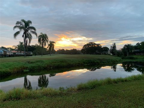 190 WATER OAK WAY OLDSMAR FL 34677