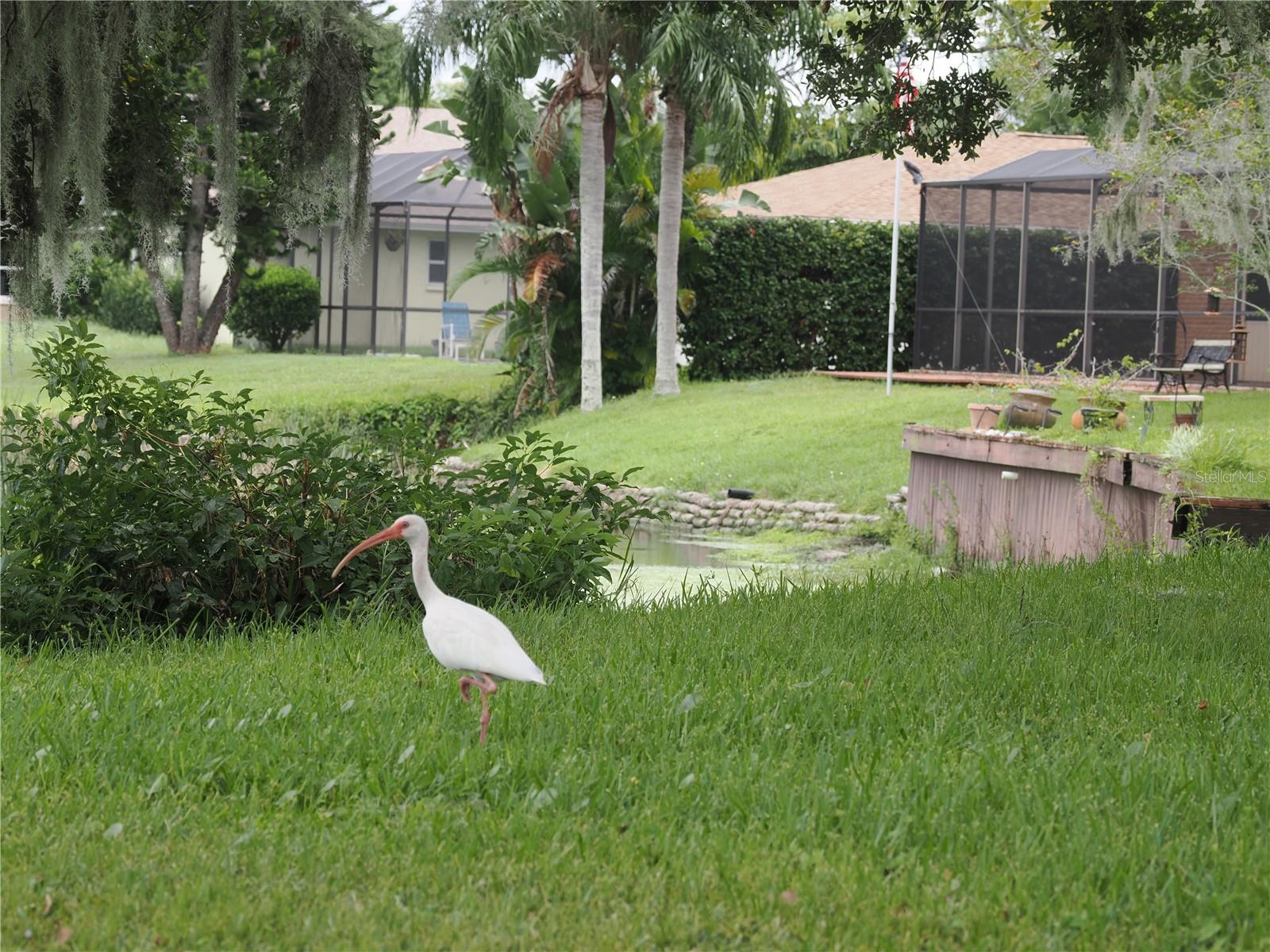 EAST LAKE WOODLANDS - Residential