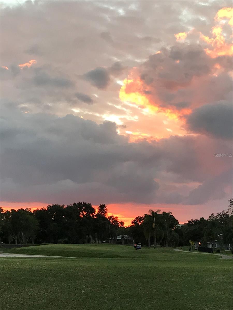 EAST LAKE WOODLANDS - Residential