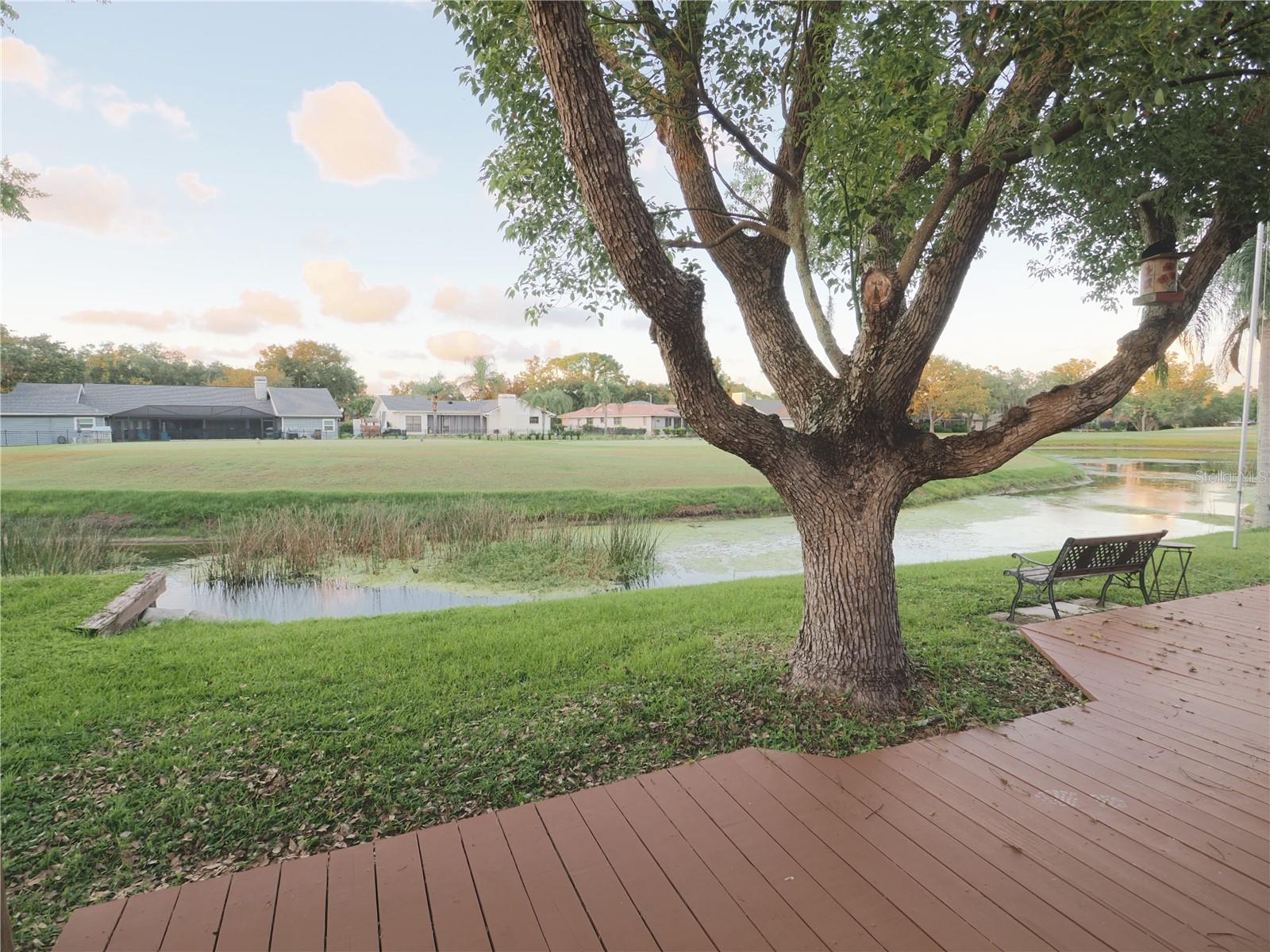 EAST LAKE WOODLANDS - Residential