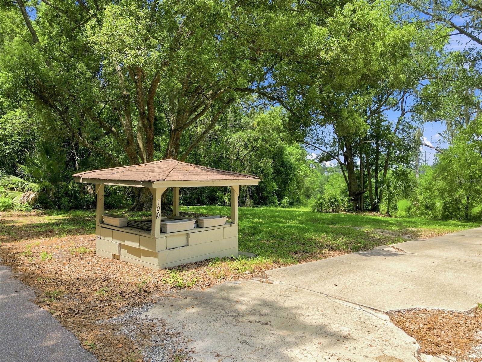 PINE CIRCLE DRIVE