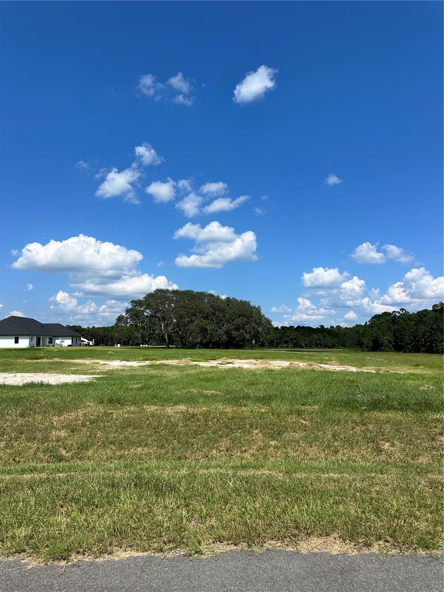 SHORELINE RANCH - Land