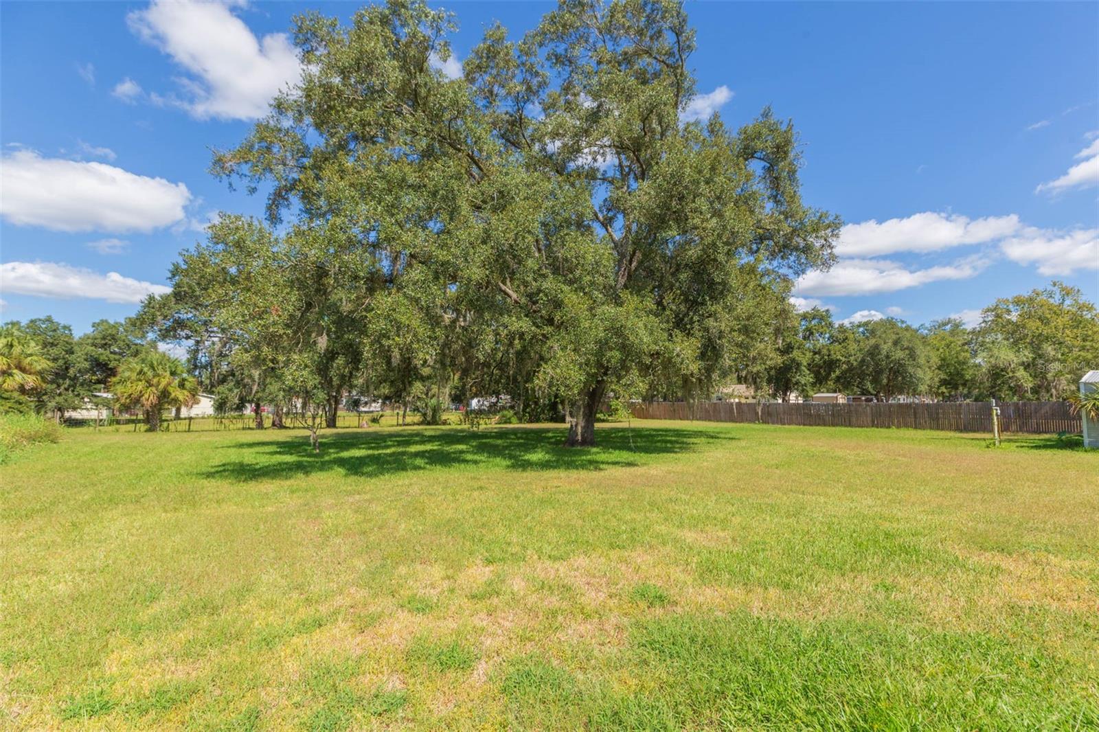 UNPLATTED - Residential