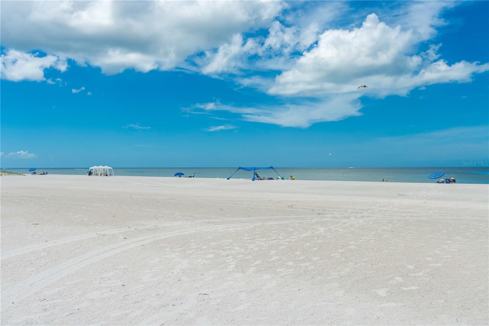 11605 GULF BOULEVARD 503